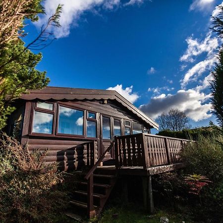 Log Cabin Nr Coed Y Brenin By Seren Short Stays Trawsfynydd Zewnętrze zdjęcie